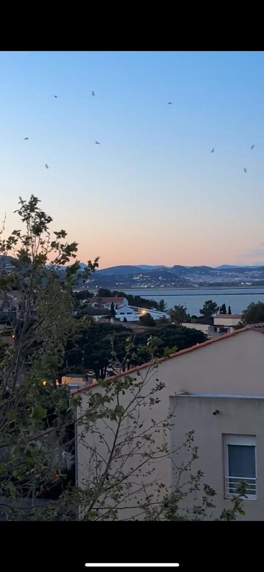 Apartment Superbe Duplex Refait A Neuf ! Hyeres